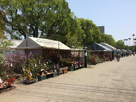 🗿 오쿠보 도시미치 동상 이미지 8